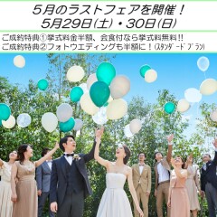 明日からの2日間、フォトウエディングキャンペーンを行います!