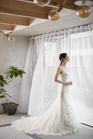 全プラン「衣裳ランクアップが半額」です!