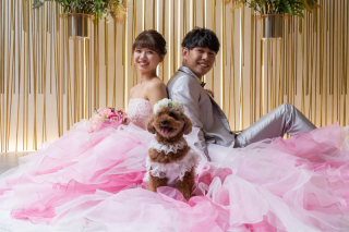 【ペットフォトウエディング】犬、猫、うさぎ、モルモット などなど...