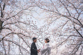 まだ間に合う!桜ロケーションフォト☆