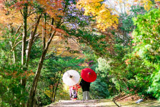 秋の紅葉シーズン フォトウェディング