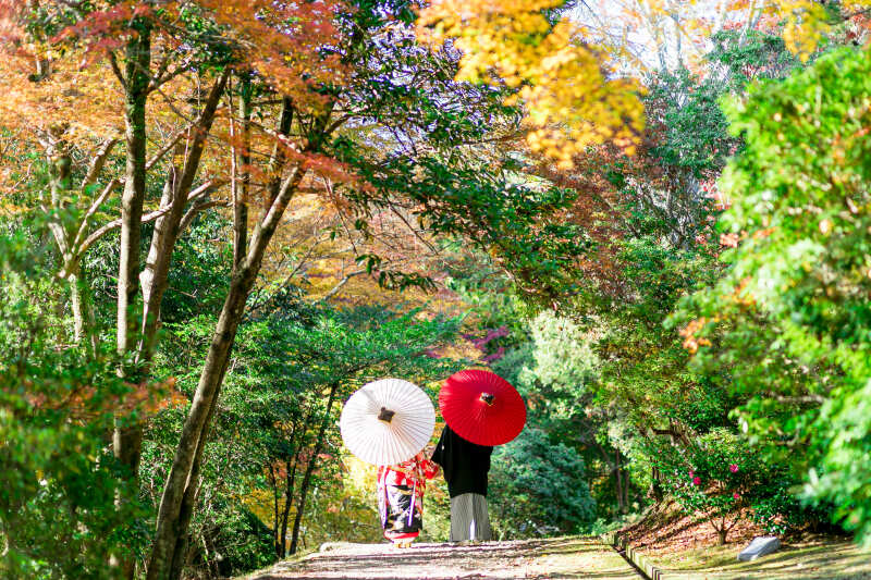 秋の紅葉シーズン フォトウェディング