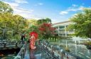 東郷神社で紅葉フォト*幻想的なフォトから古典的なフォトまで**