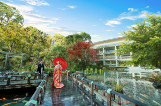 東郷神社で紅葉フォト*幻想的なフォトから古典的なフォトまで**