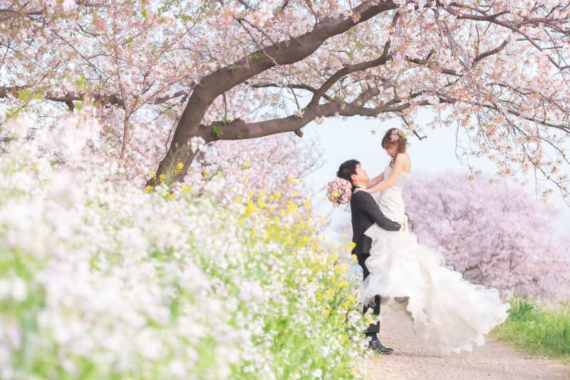 今年も来る桜の時期♪