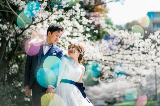 ☆桜ロケーションフォト予約受付開始☆