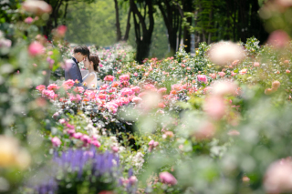 ロケーションフォトの季節♪