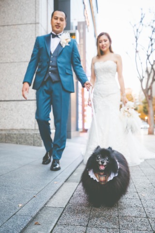 ご家族のペットと一緒に!お散歩感覚で撮影♪