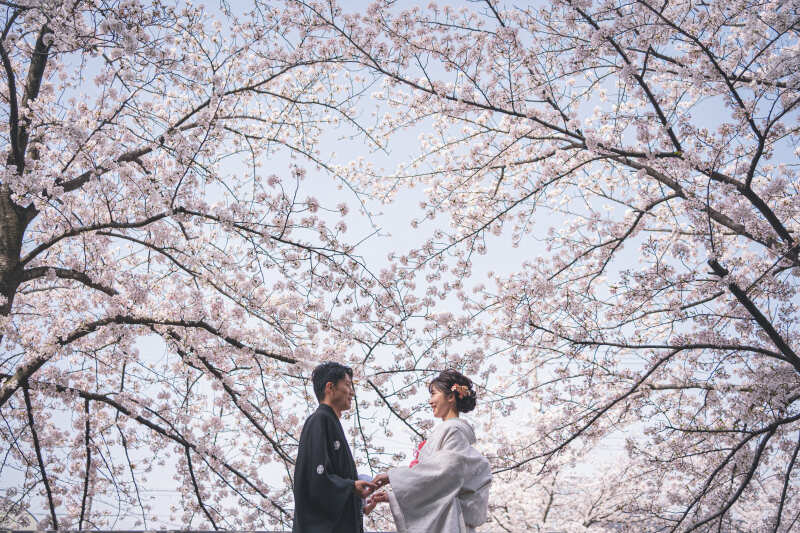 まだ間に合う！桜ロケーションフォト☆