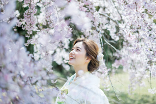 桜フォトの受けつけはじまりました!✿