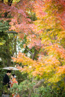 こだわりのポイント