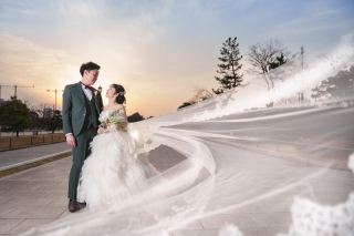 プラン選びの参考に!