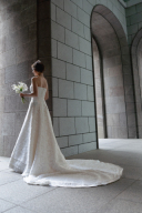 バックショット