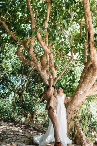 お好みのドレスは？？