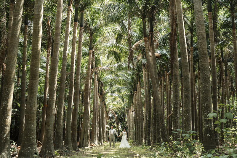 ドローンも飛ばして楽しさ倍の撮影にしましょう!!