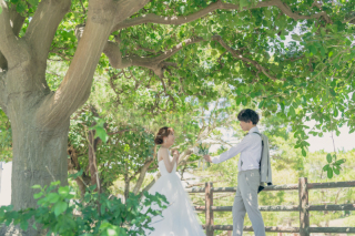 自然の中で╰(*&acute;︶`*)╯