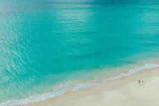 今日はオレンジデー♬