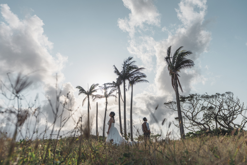 アテモヤは沖縄でも稀少なフルーツの一つ