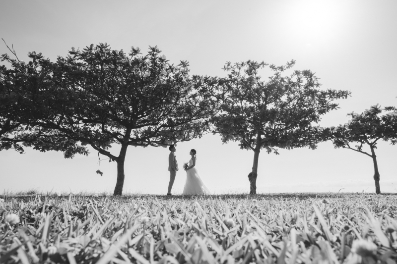 石垣島にいらした際の注意すべき交通事情。必見です!