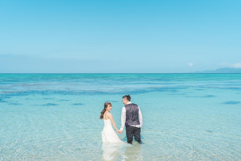 宮古島のブーゲンビレアが見頃です