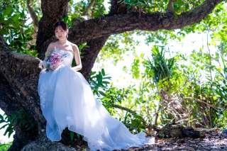 梅雨が終われば台風も・・