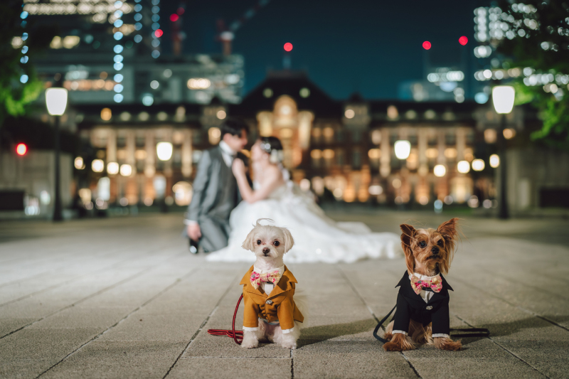 東京タワーと夜景で残す、とっておきのロマンティック撮影