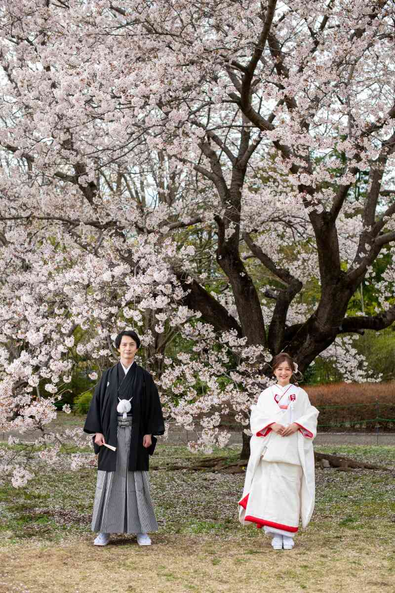 桜&times;和装フォトウェディング♡満開の春を彩る撮影