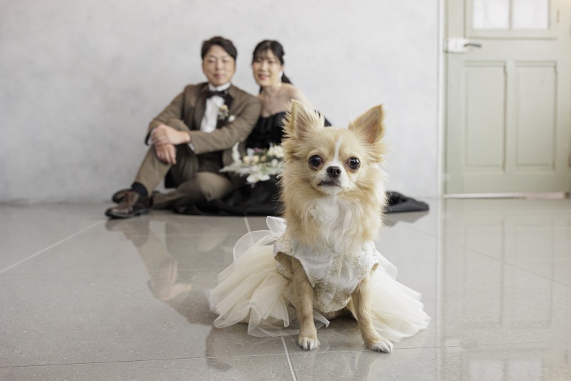 ペットと一緒に♡家族みんなで残すフォトウェディング