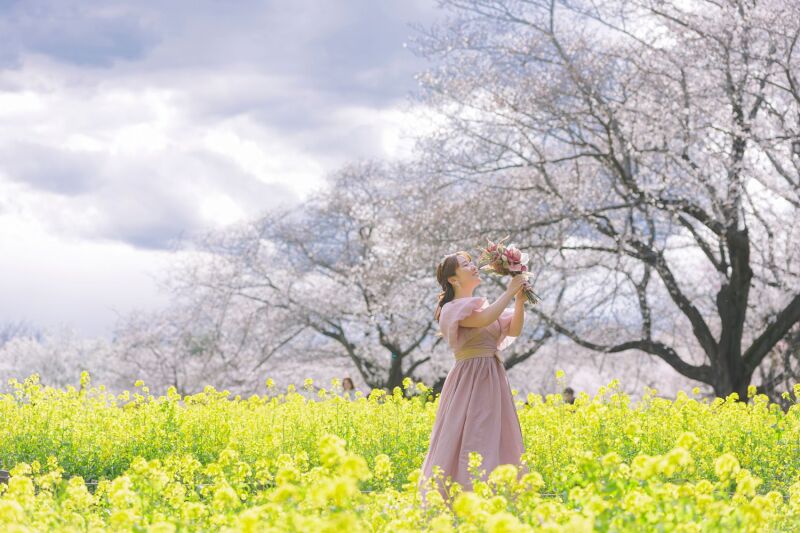 春先取り華やかピンクドレス３選･:*