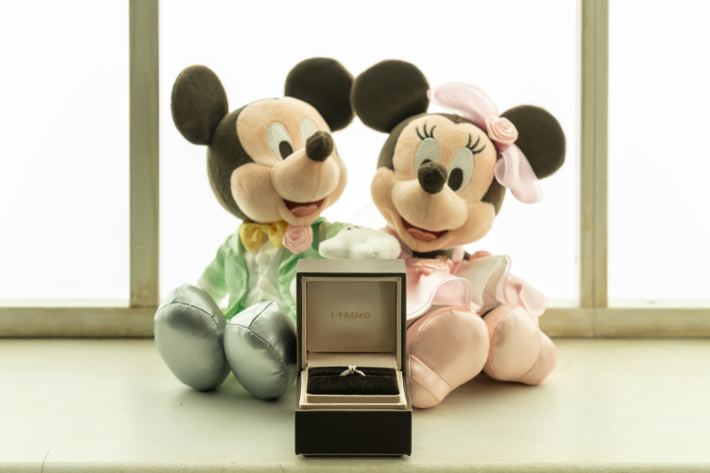 【着放題プラン】和も洋も叶えるスタジオ撮影　洋装ver.