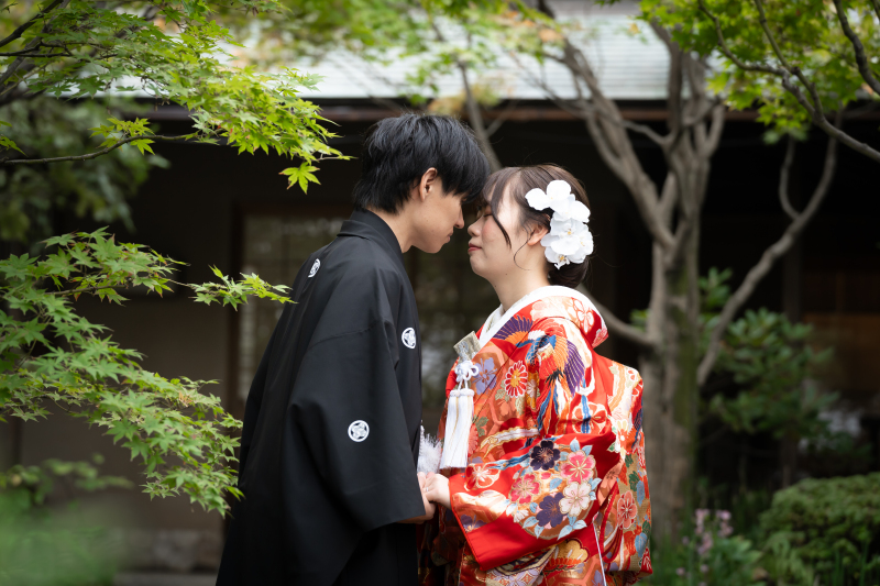 11月中旬、緑に包まれる目白庭園で和装ロケーション