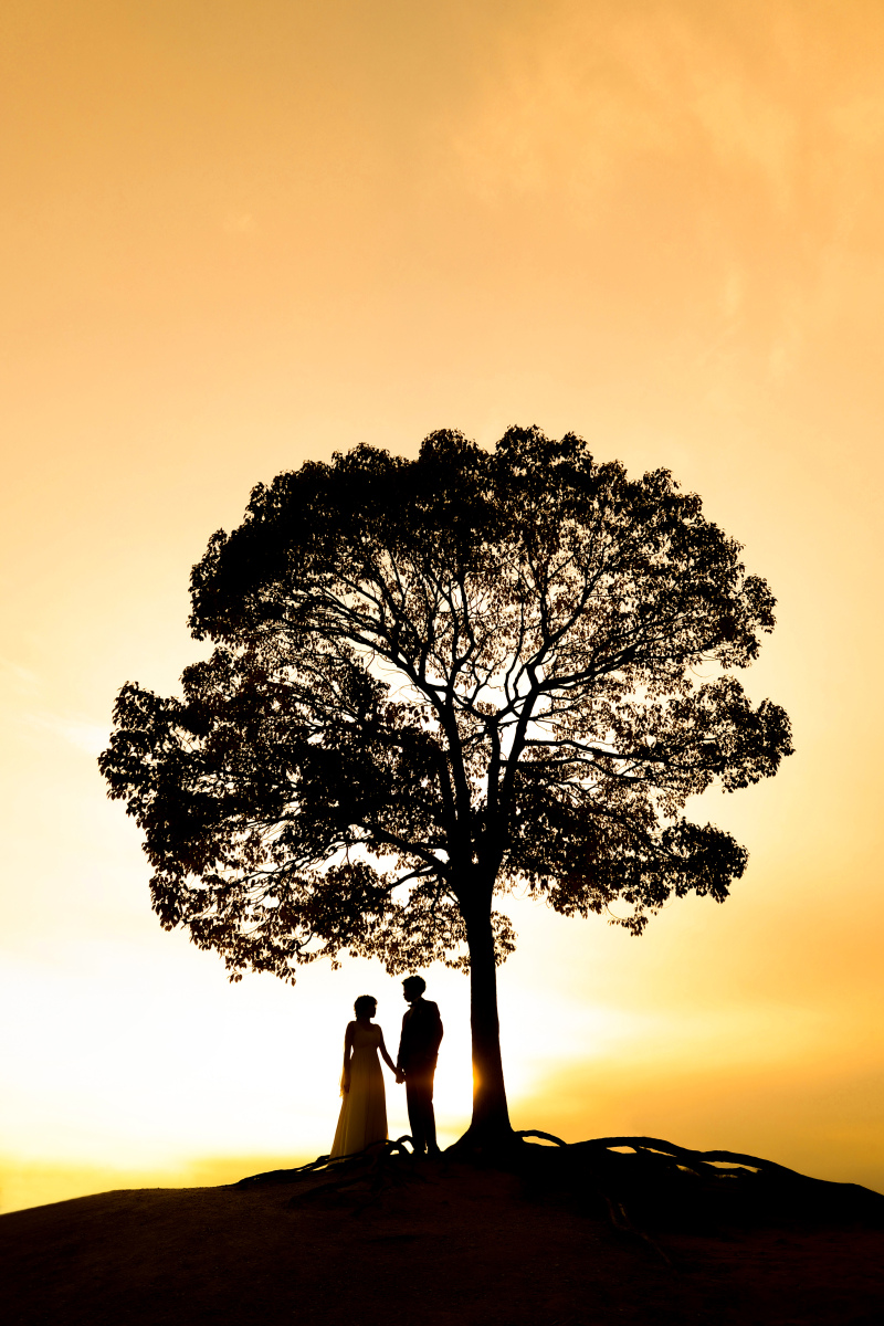 ip-oneのこだわりお客様専属フォトグラファー