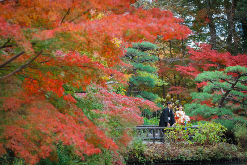 ip-oneが教える紅葉ロケーションの魅力と撮影方法に関して解説