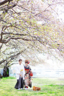 ip-oneペットウエディングフォトのご紹介vo2