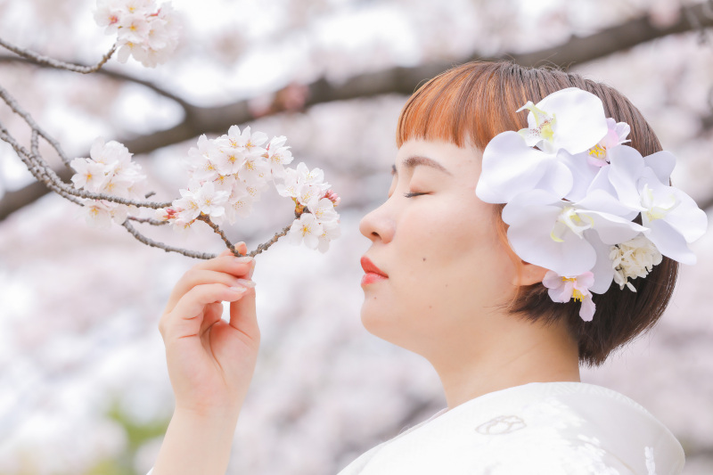 桜ウエディングフォトのご紹介