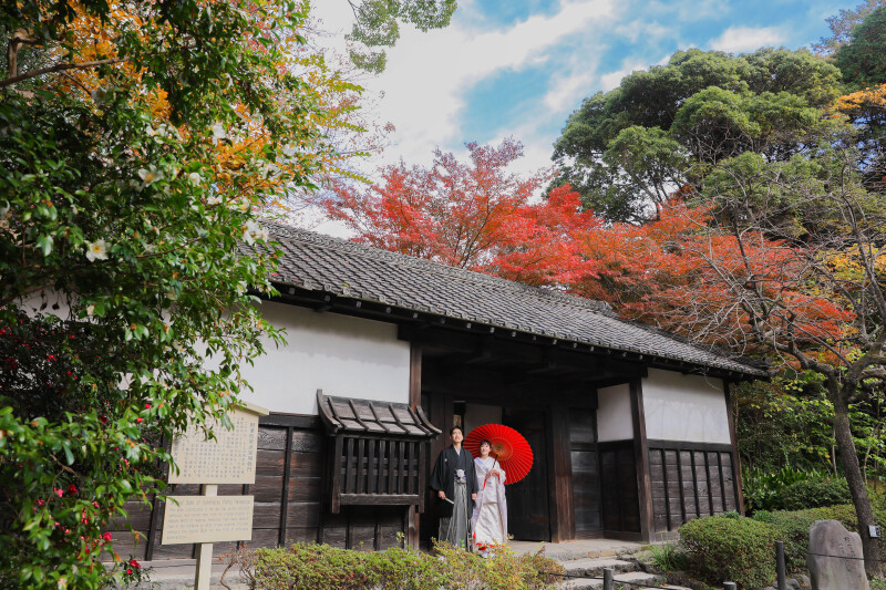 横位置写真の魅力と撮影ポイントについて