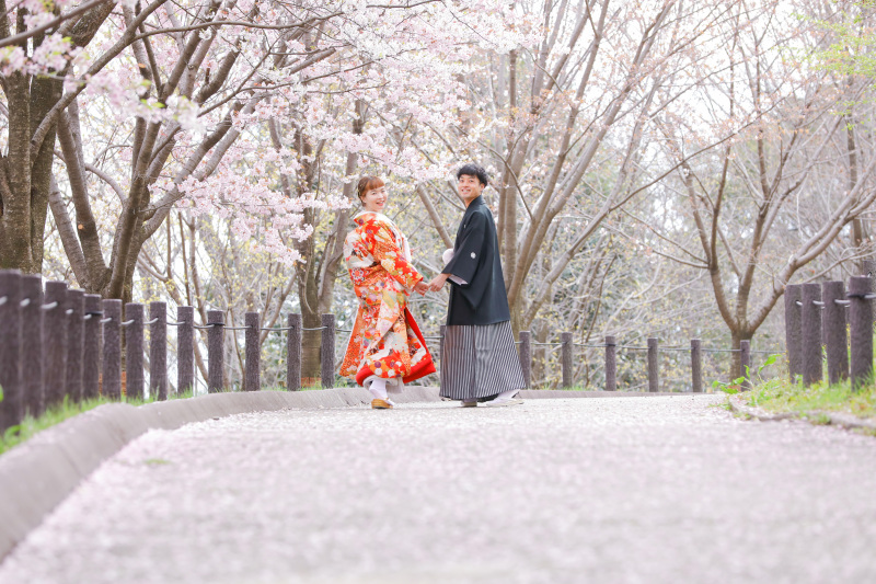 桜ウエディングフォトのご紹介