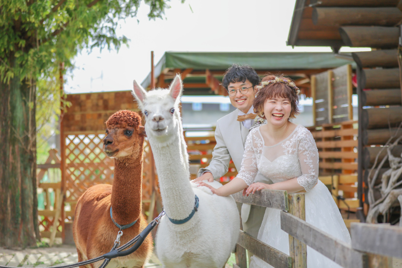 アニマル前撮り