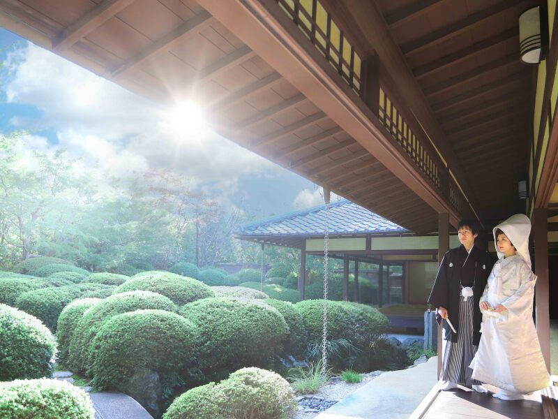 庭園からの景観