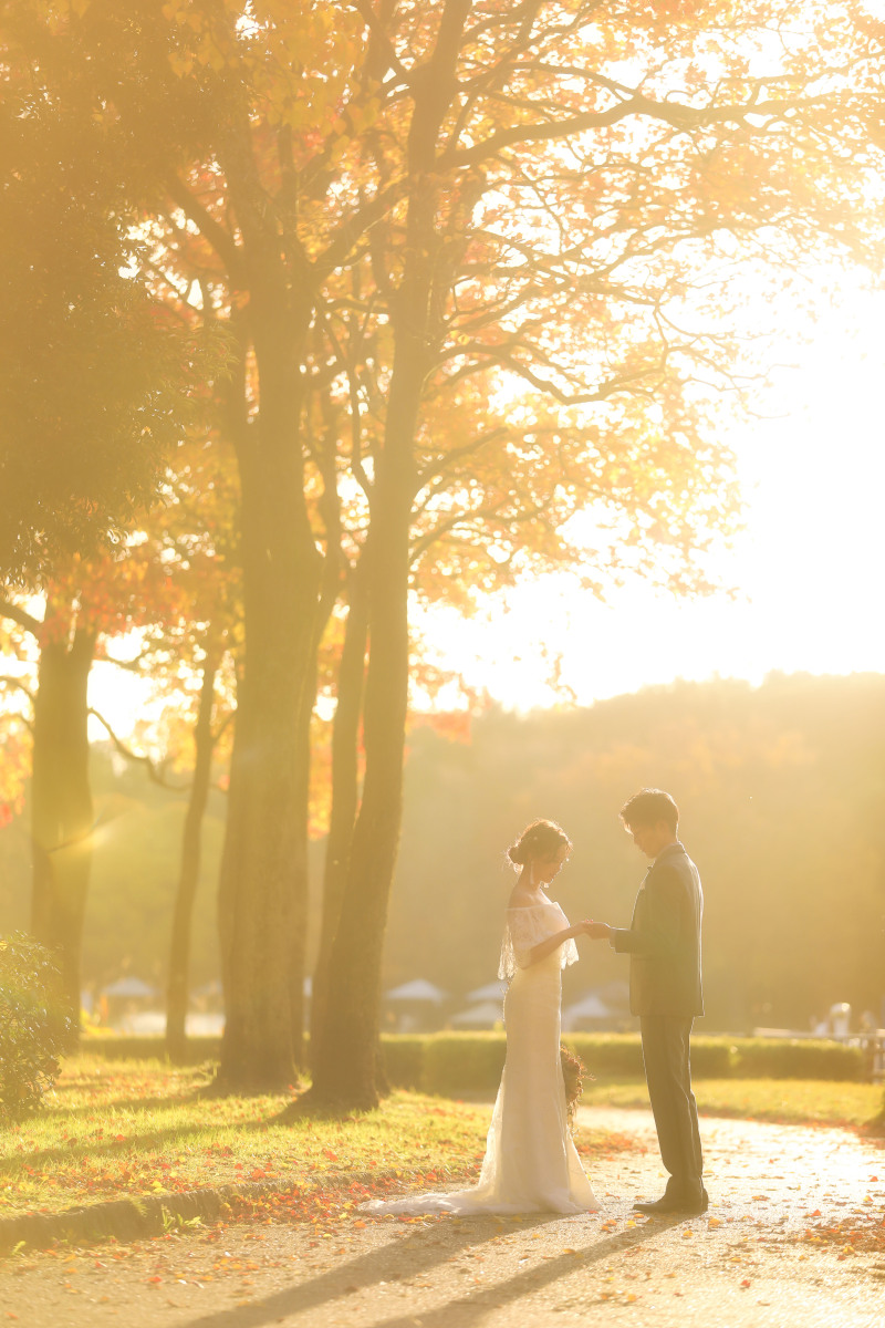 秋の紅葉前撮り参考ポイントvo2