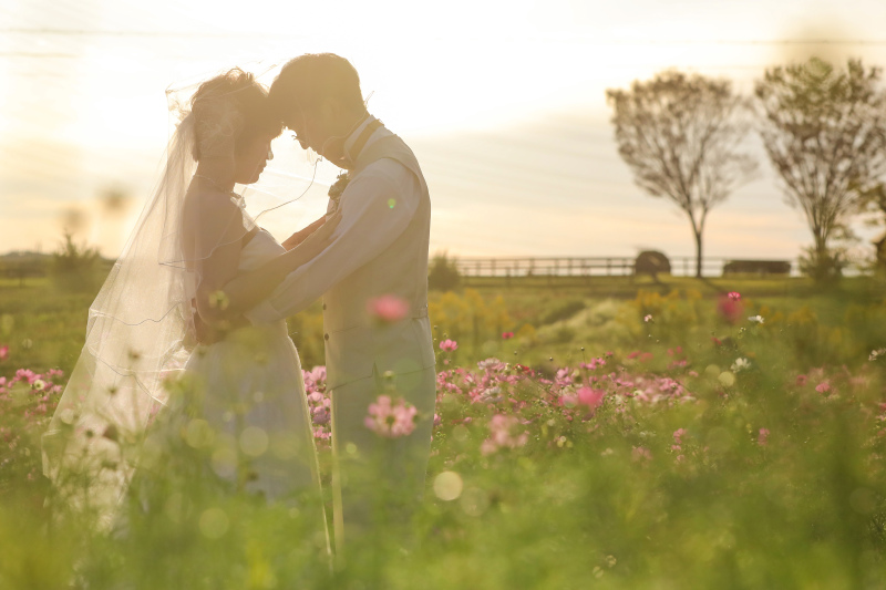 逆光撮影を美しく撮影するフォトグラファーテクニックについて