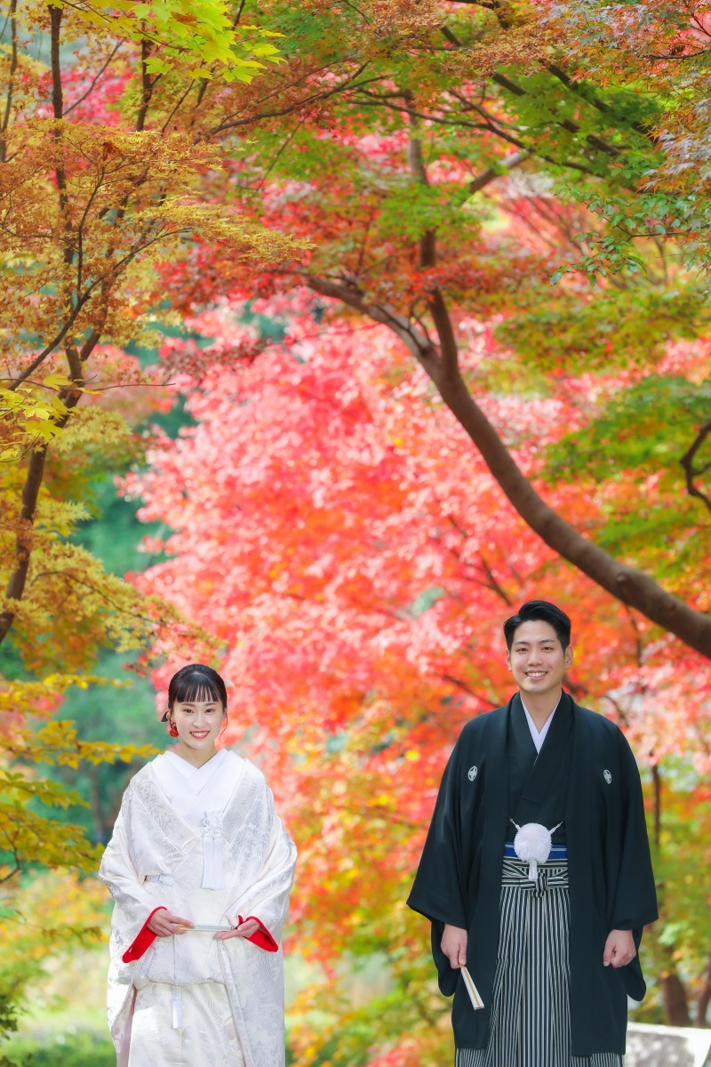 縦位置写真の魅力と撮影ポイントについて