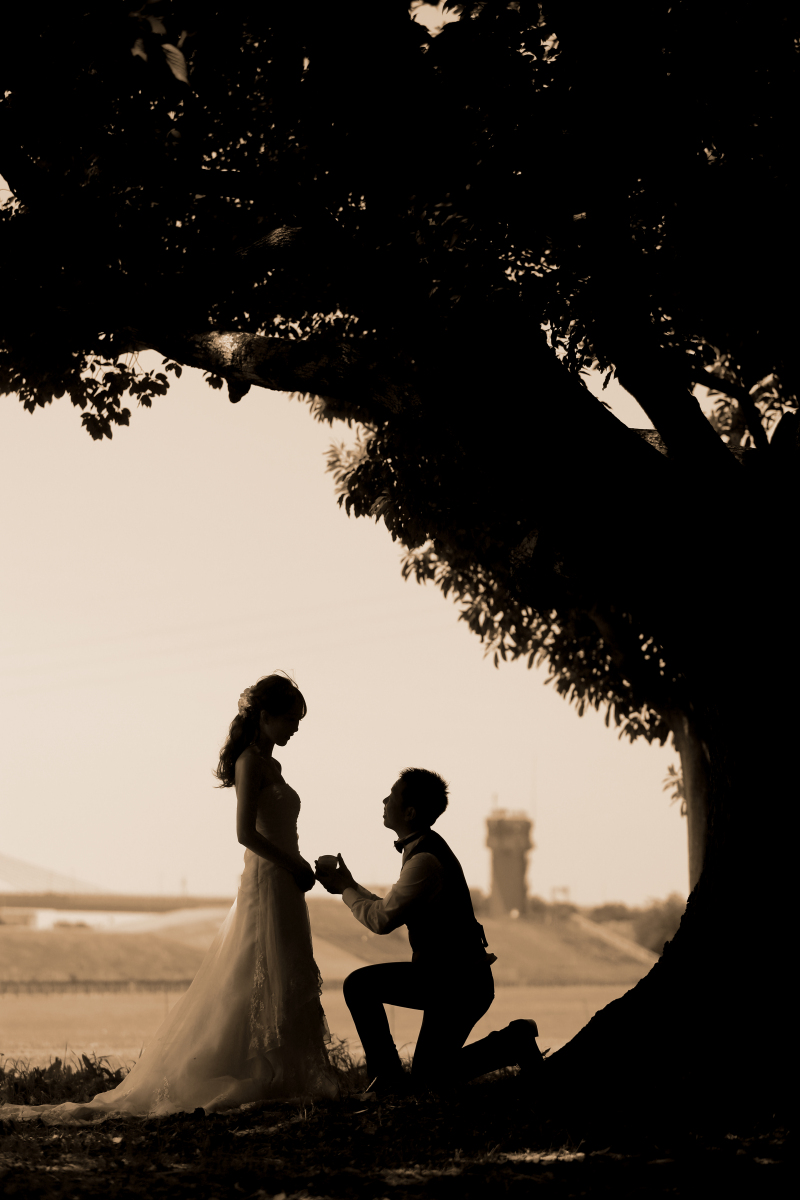 プロポーズ風撮影