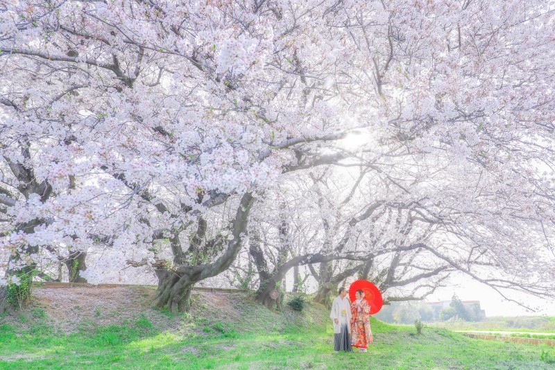 奥行き感を活かしたウエディングフォトの重要性について解説します！