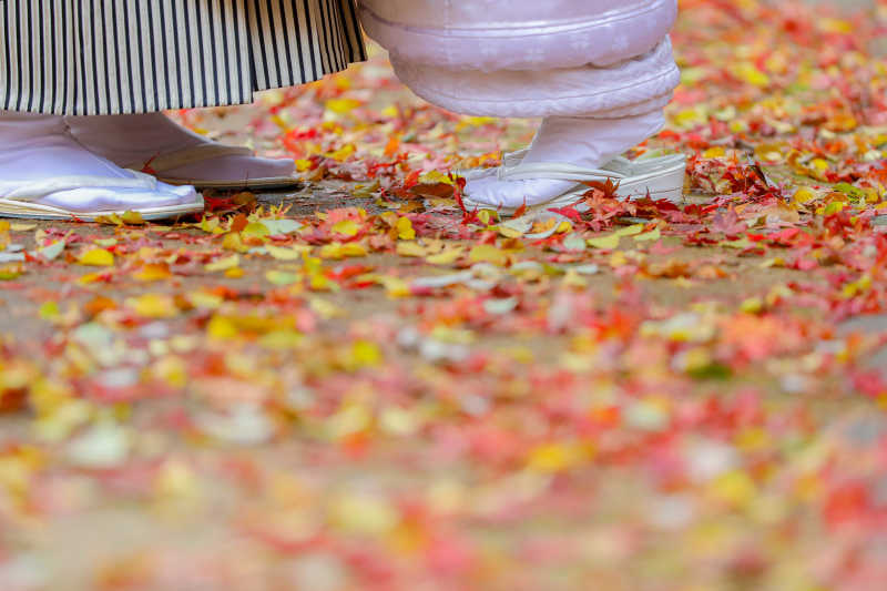 紅葉前撮り撮影受付中