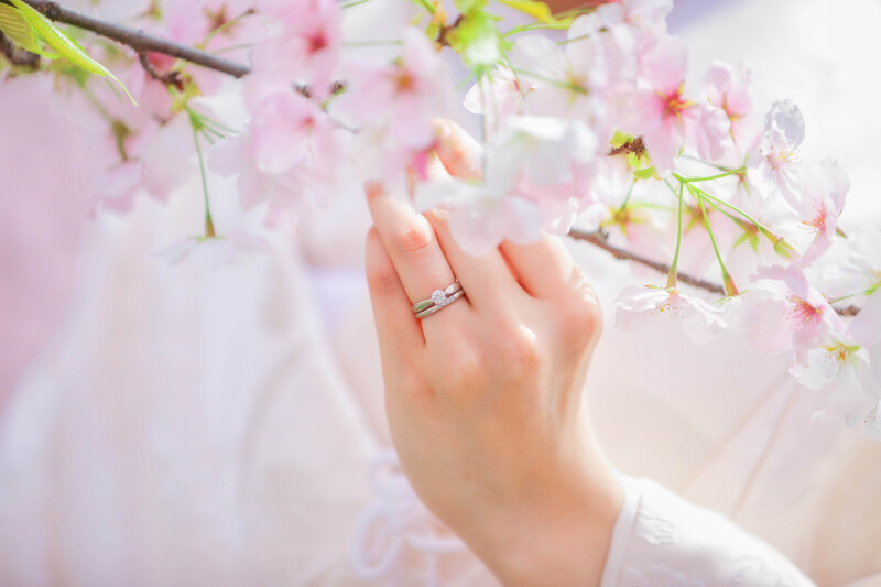 3月期間限定キャンペーン開催中！