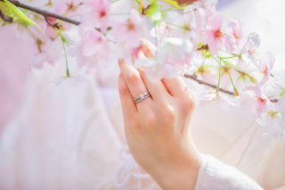 季節の花と撮影するウェディングフォトの魅力と撮影方法をip-oneが解説