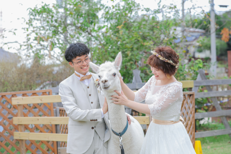 アニマル前撮り