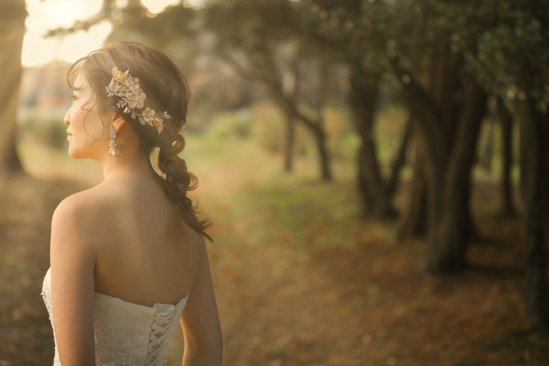 夕方時の写真紹介