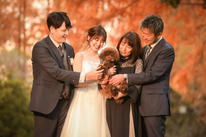 ip-oneペットウエディングフォトのご紹介vo1